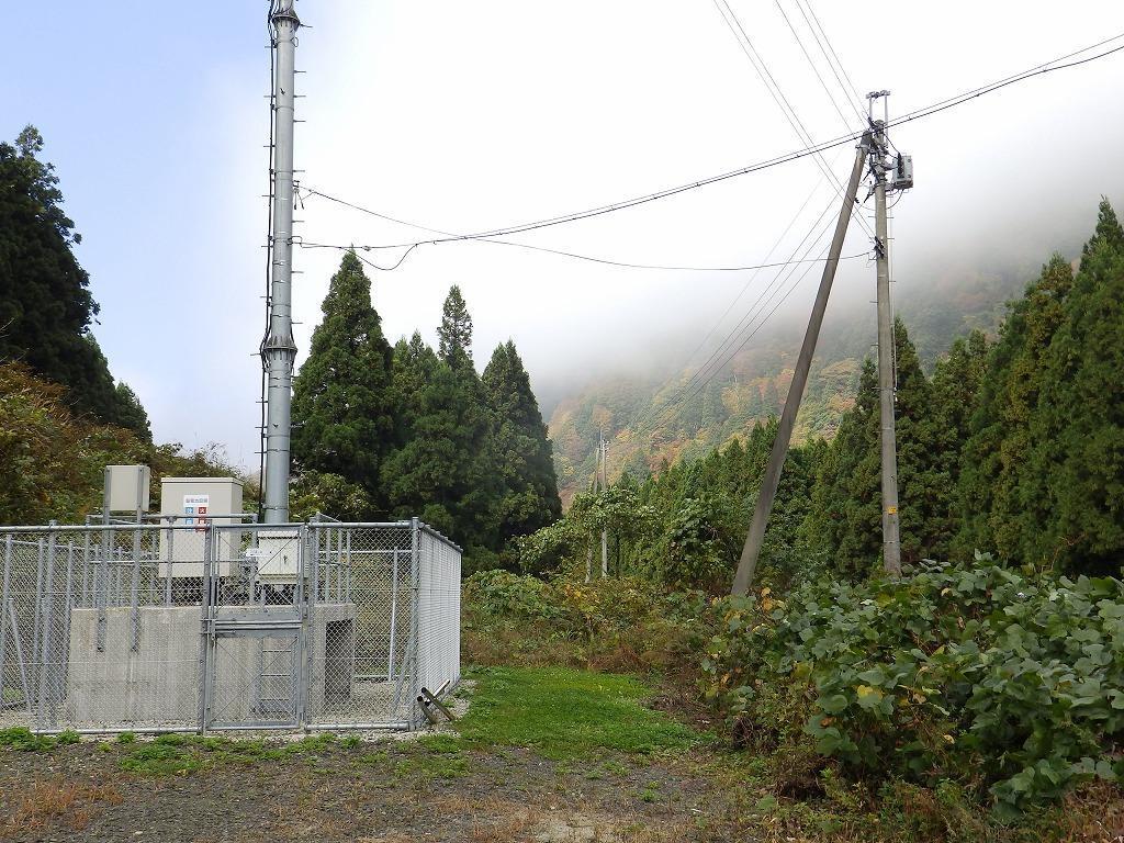 土湯の赤杉: 山形の自然