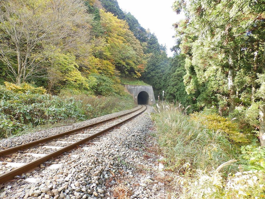 杉赤身 エリート 1x4・1x6・1.25x4・1.25x6・2x4・2x6・2x8